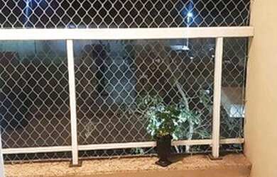 Imagem 12: Apartamento com 2 dormitórios, 50 m² - venda por R$ 230.000,00 ou aluguel...