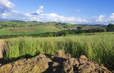 Imagem 3: Lote/Terreno para venda possui 600 metros quadrados em Jardim Imperial...