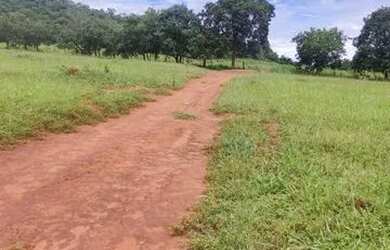 Imagem: A fazenda possui 4114000m² de Área e está localizado em Caiapônia