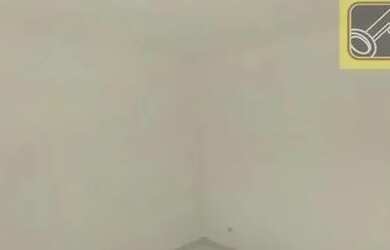 Imagem 7: Casas para locação em São Paulo no bairro PQ S LUCAS