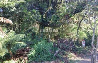 Imagem 5: TERRENO NO CENTRO DE GRAMADO