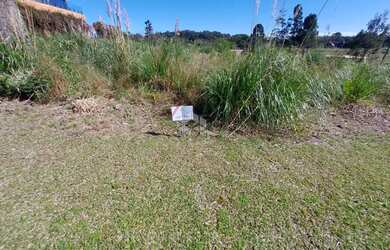 Imagem 13: Terreno à Venda no Loteamento Terras Altas, Gramado