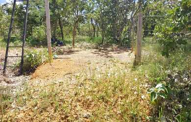 Imagem 7: Lote Lago Cisnes. 360m² de Área