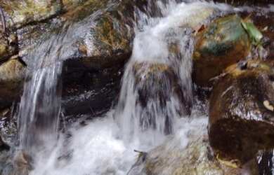 Imagem 9: Maravilhoso Sítio Em Rio Preto M.G. 168 Hectares