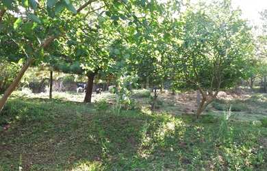 Imagem 4: Porto Alegre - Terreno Padrão - Boa Vista do Sul