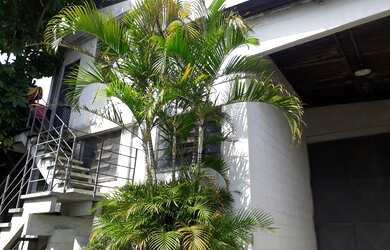 Imagem 6: Galpão/Depósito/Armazém para aluguel possui 720 m2 de terreno 450 m2 galpão na Vila Piaui