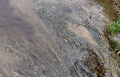 Imagem 5: Maravilhoso Sítio Em Rio Preto M.G. 168 Hectares