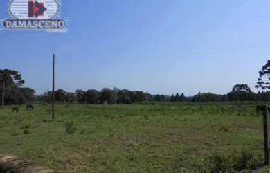 Imagem: O terreno possui 115000m² de Área e está localizado em Borda