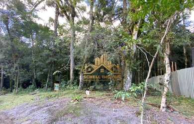 Imagem 11: Terreno à venda, 592 m² por R$ 375.000,00 - Bosque Sinoserra - Canela/RS