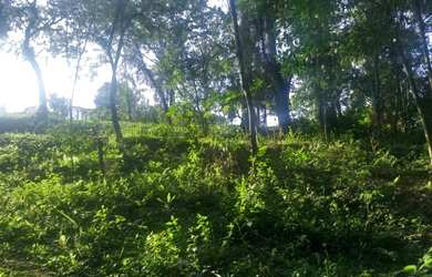 Imagem 14: vende-se terreno 810m² urgente