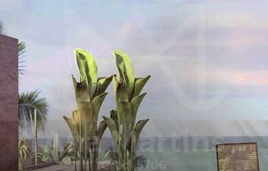 Imagem 6: Beira Mar de Tatuamunha. Um paraíso na terra