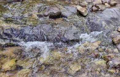 Imagem 15: Maravilhoso Sítio Em Rio Preto M.G. 168 Hectares