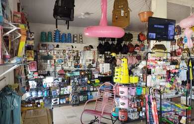 Imagem 3: Vendo uma loja petshopp