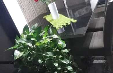 Imagem: A casa possui 2 Dormitórios, 2 Banheiros, 1 Vaga na garagem