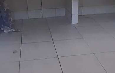 Imagem 3: Alugo casa novo gama. Imóvel novo, 1 Vaga na garageme3 Dormitórios