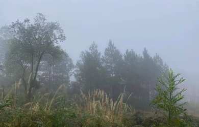 Imagem 11: Terreno - Bairro Morada Da Serra
