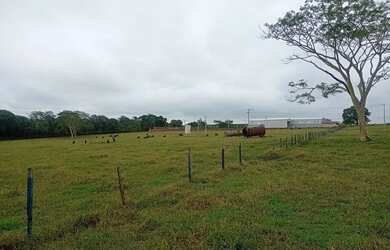 Imagem 2: Vendo terreno 33 mil m de frente a rodovia Feliciano Salles Cunha SP-310