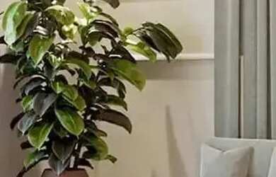 Imagem 12: Apartamento à venda no SALVADOR VERÍSSIMO - JATIÚCA, MACEIÓ - AL ,...