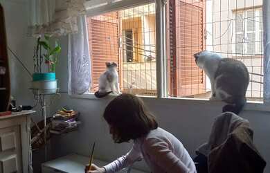 Imagem: O apartamento possui 1 Dormitório, 1 Banheiro, 30m² de Área