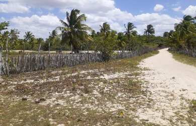 Imagem: O terreno possui 9.600m² de Área e está localizado em Jijoca