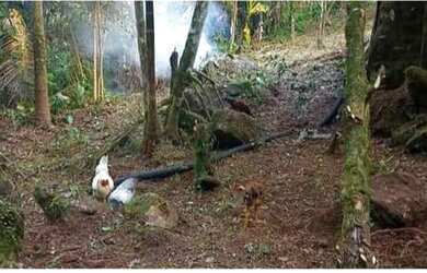 Imagem: A chácara possui 1.000m² de Área e está localizado em Paraty