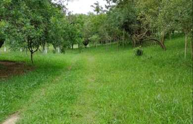 Imagem 9: WNS A PAZ QUE VOCÊ TANTO PROCURA ESTA NO INTERIOR DE SÃO PAULO EM MAIRIQUE