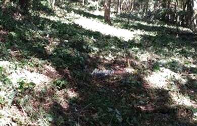 Imagem 3: Terreno à venda, 2750 m² por R$ 135.000 - Vicente Nunes - Nazaré Paulista/SP...