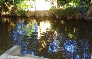 Imagem 8: Sítio na estrada de Caxias por trás do balneário Chico 18 com Riacha...