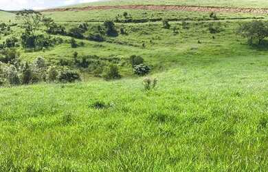 Imagem 9: 10.000m² de terra na Represa de Igaratá por apenas 150mil
