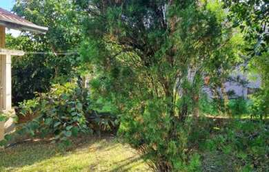 Imagem 8: Casa para venda tem 56 metros quadrados em Lomba Grande - Novo Hamburgo...