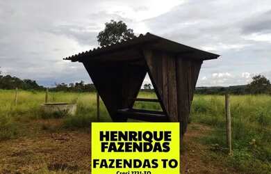 Imagem 3: Fazenda de oportunidade em Divinopolis 25 alq por 1,5 milhões