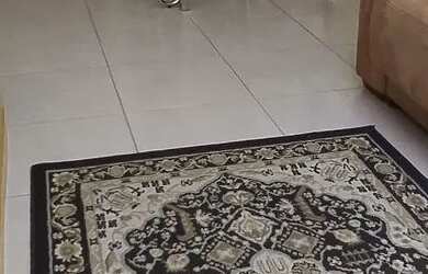 Imagem 3: Condomínio Allegro