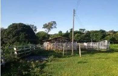 Imagem 7: Fazenda à venda, 396 hectares por R$ 3.100.000 - Zona Rural - Luziânia/GO