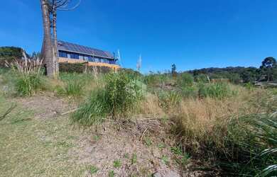 Imagem 7: Terreno à Venda no Loteamento Terras Altas, Gramado