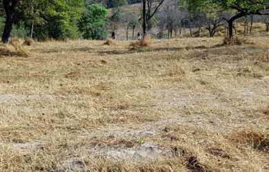 Imagem: A fazenda possui 20.000m² de Área e está localizado em Itatiaiuçu