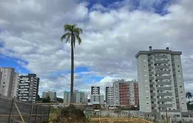 Imagem 8: CAXIAS DO SUL - Casa Padrão - VILA VERDE