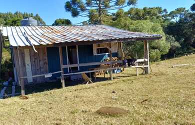 Imagem 11: Chácara em mato queimado 2 km da estrada do Cazuza ferreira