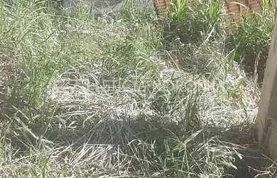 Imagem 10: Casa à Venda Casa com 1 dormitório