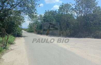 Imagem 10: Terreno Industrial à Venda no Bairro Santa Cruz, RJ