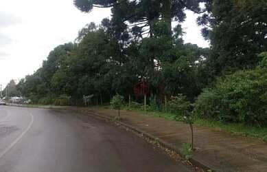 Imagem 4: Terreno à venda em Canela