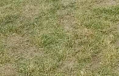 Imagem 4: Lote/Terreno para venda com 250 metros quadrados em Vila Zilda Natel -...