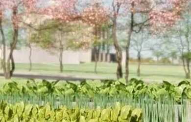 Imagem 11: Lote de 258 m² à venda por R$ 250.000 no Jardins Parma - Senador Canedo/GO