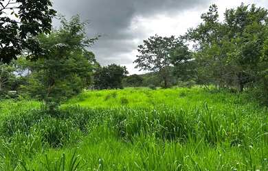 Imagem 6: Fazenda Niquelandia. 1.580.000m² de Área