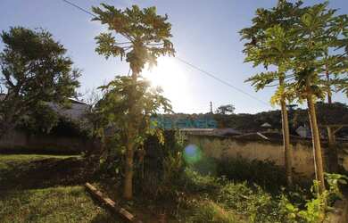 Imagem 13: Terreno à venda, 416 m² por R$ 650.000,00 - São Lourenço - Curitiba/PR