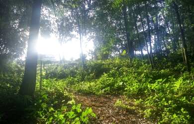 Imagem 12: vende-se terreno 810m² urgente