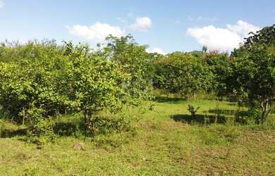 Imagem 5: Porto Alegre - Terreno Padrão - Boa Vista do Sul