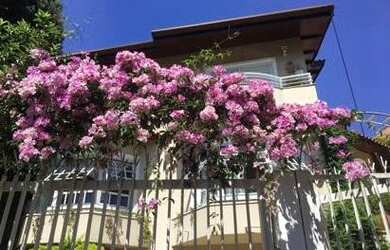 Imagem 2: SÃO PAULO - Casa Padrão - MORUMBI