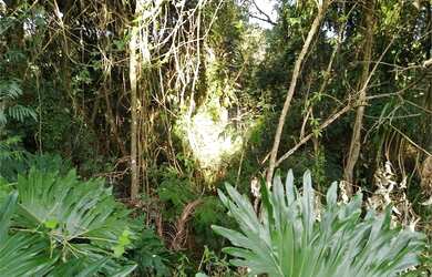 Imagem 4: Atibaia - Loteamento/Condomínio - Loteamento Rancho Maringá II