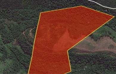 Imagem: O terreno e está localizado em Tamboré, Santana de Parnaíba