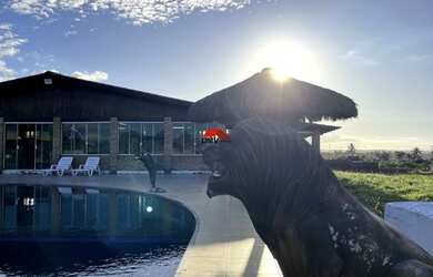 Imagem 5: SãO GONçALO DO AMARANTE - Casa Padrão - Praia da Taíba